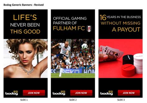 bodog china.